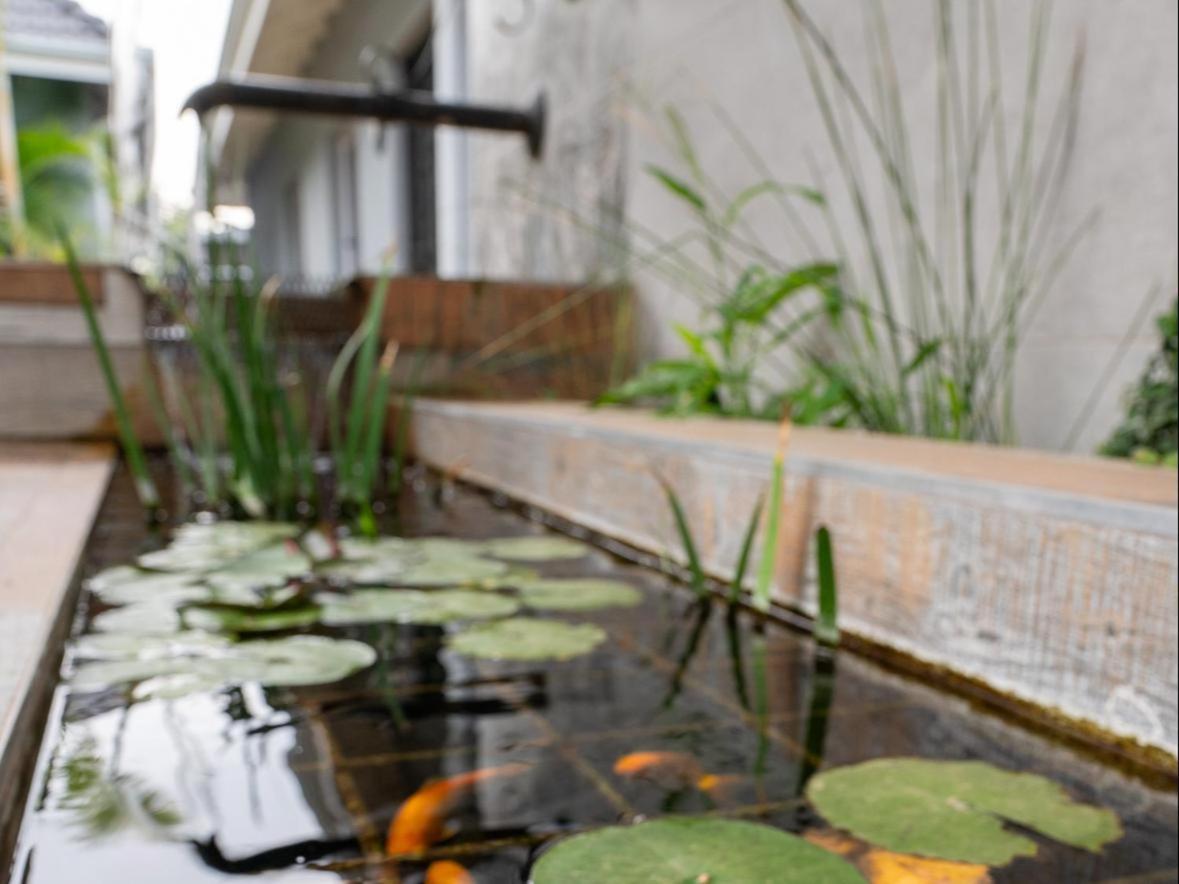 Familia Guesthouse & Boutique Hotel 그로블러스달 외부 사진